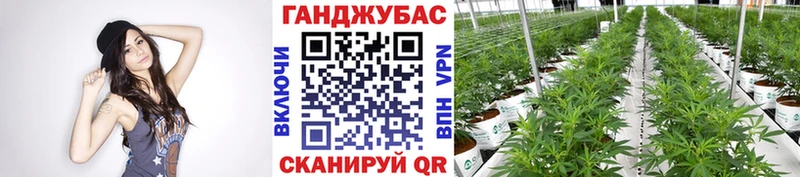 Шишки марихуана индика  Теберда 